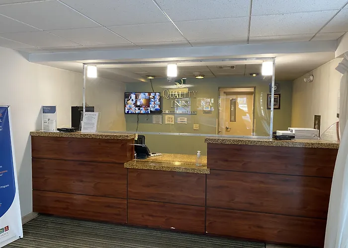 3 star hotel: Quality Inn Flamingo