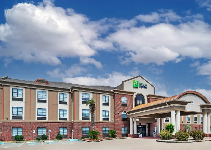 Holiday Inn Express Hotel & Suites Vidor South By Ihg