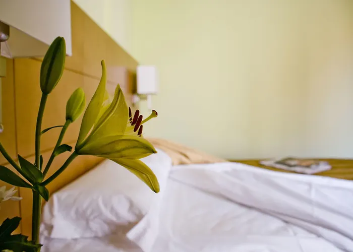 Hotel de golf: Hotel 4C Puerta Europa