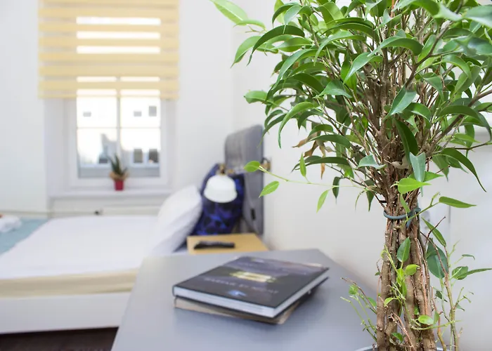 Hotel near College: Chillout Hostel