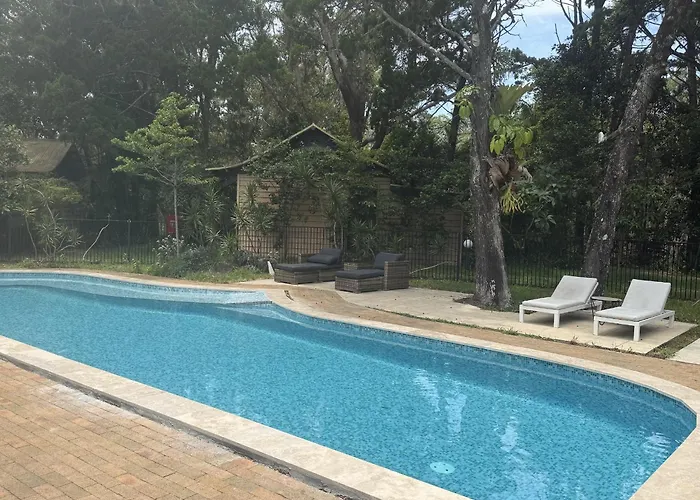 Perros hoteles Rainforest