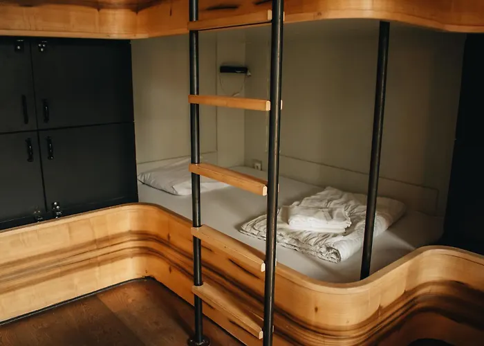 Hotel nahe College: King Kong Hostel