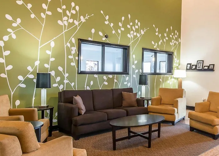 Hotel: Sleep Inn & Suites Winchester Near University