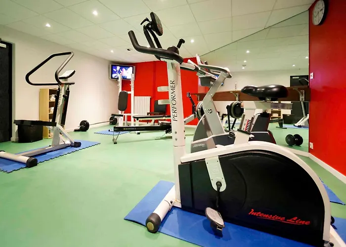 Hôtel accueillant les animaux: Hotel Mercure Grenoble Centre Président