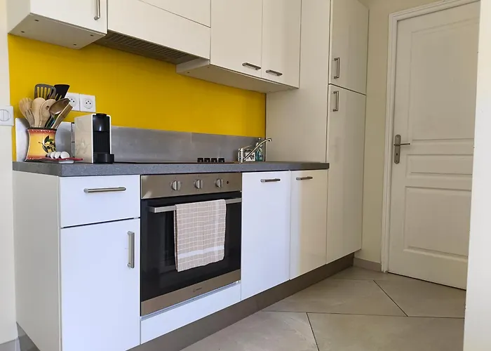 Pet Friendly hotel: Meyerbeer Beach