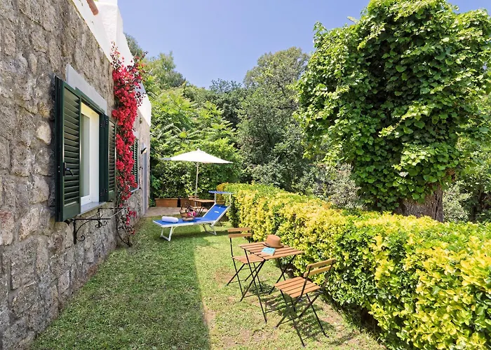 Parco acquatico Hotel: Hotel Oasi Castiglione