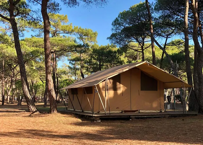 Animaux admis La Tamarissière