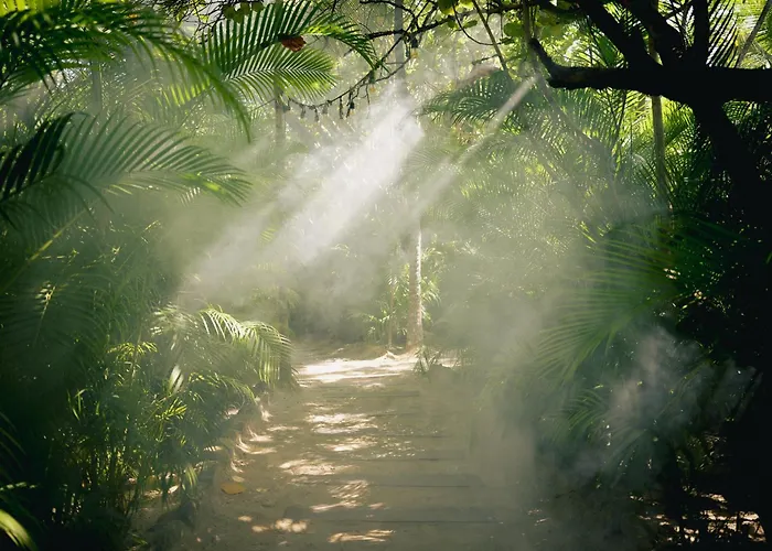 Nômade Temple Tulum
