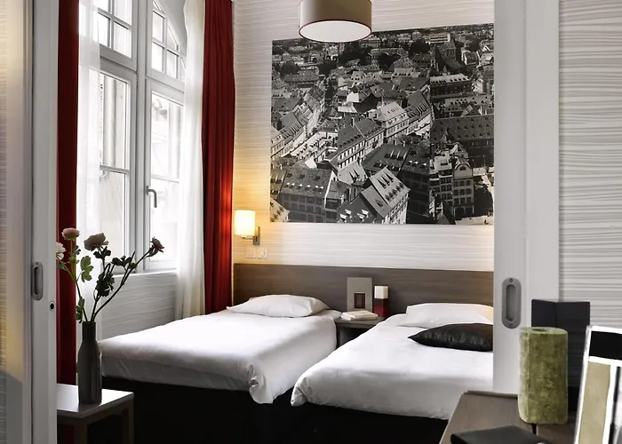 Hôtel accueillant les animaux: Adagio Strasbourg Place Kleber
