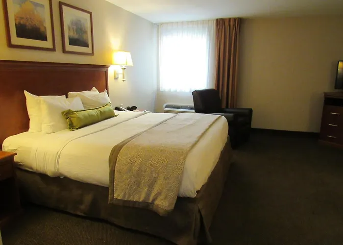 Candlewood Suites By Ihg
