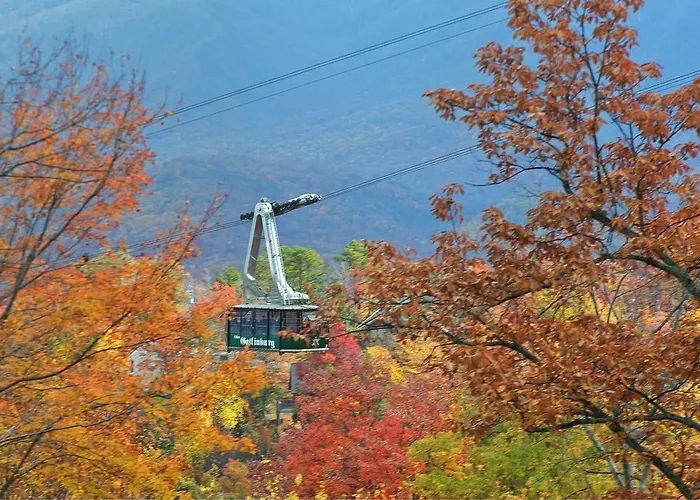 Trip to College Tree Tops Holiday Home