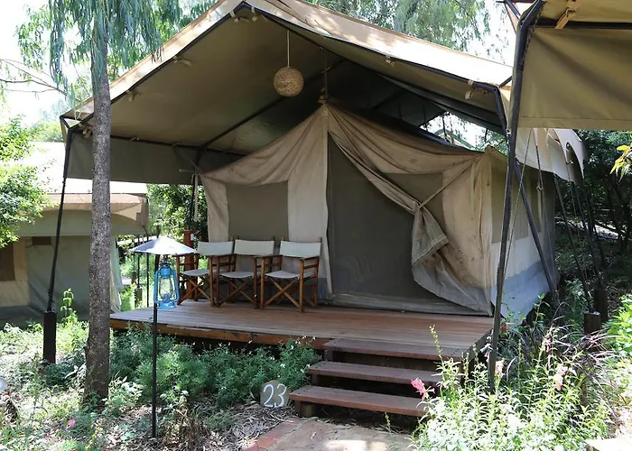 Wildebeest Eco Camp