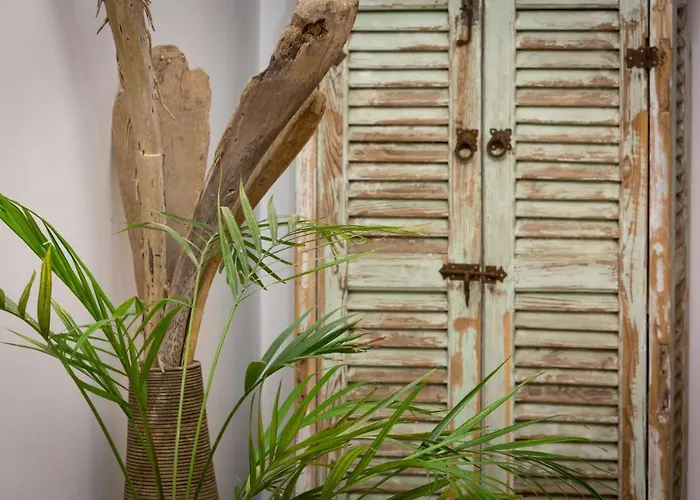 Hôtel accueillant les animaux: Riad El Maktoub