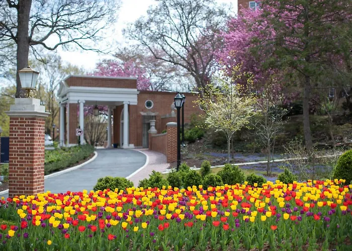 Airport Hotel: Washington Marriott Wardman Park