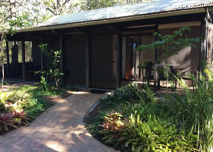 Perros hoteles Rainforest