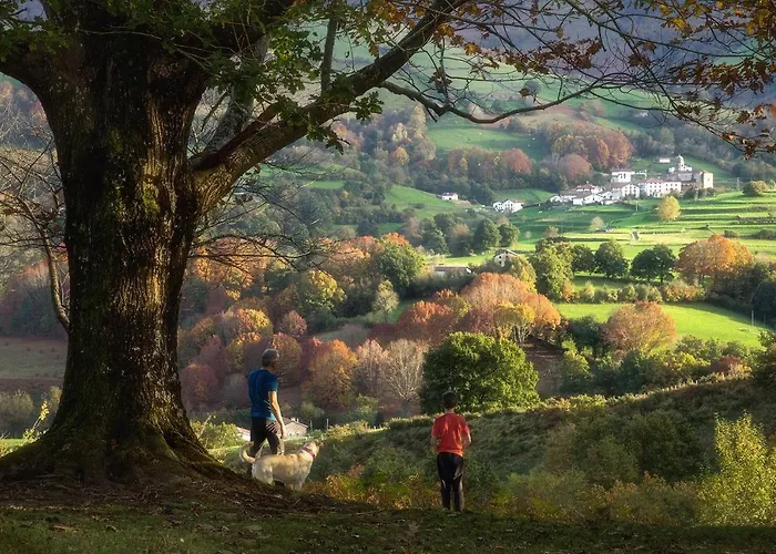 Apartamentos Mendebaldea Suites